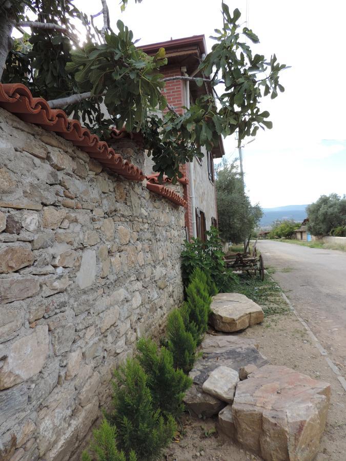 Hotel Anatolia Karacasu Aydin *