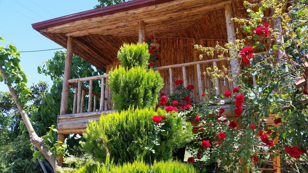 Anatolia Karacasu Aydin Hotel Geyre