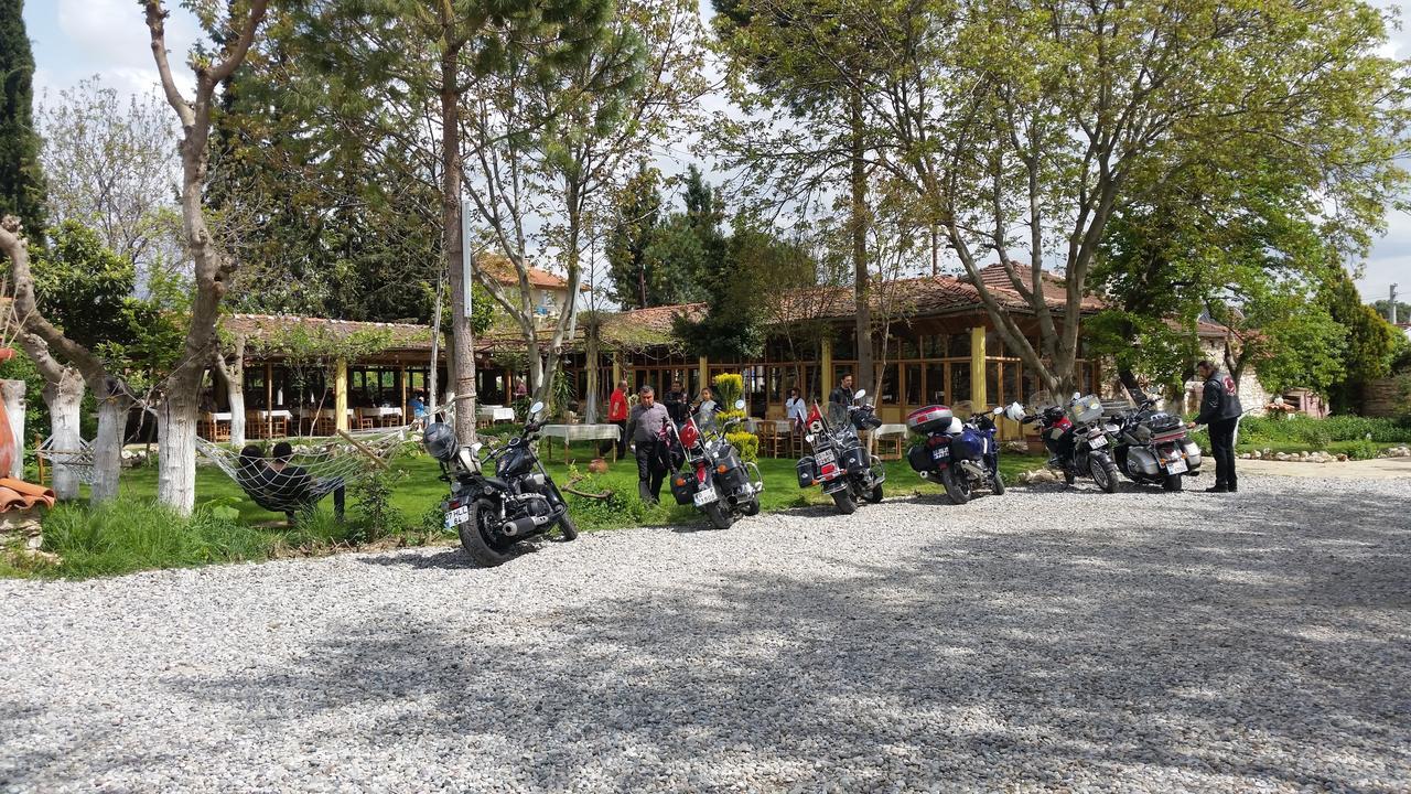 Anatolia Karacasu Aydin *