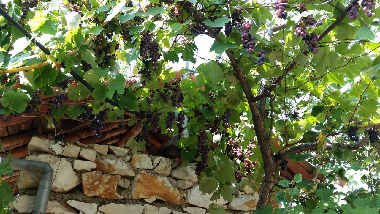 Anatolia Karacasu Aydin Hotel Geyre