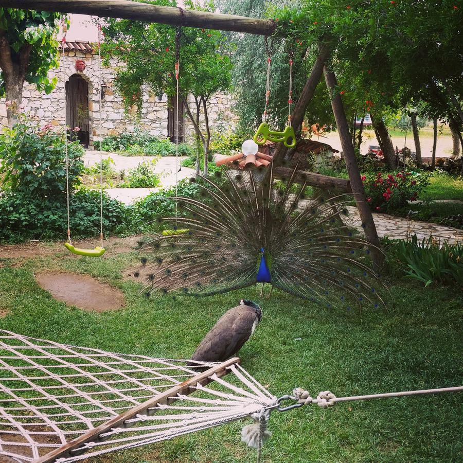 Anatolia Karacasu Aydin *